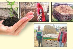 Compost