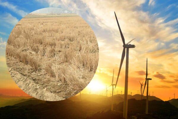 पराली (Stubble) : प्रदूषण नहीं, संभावनाओं की नई सुबह