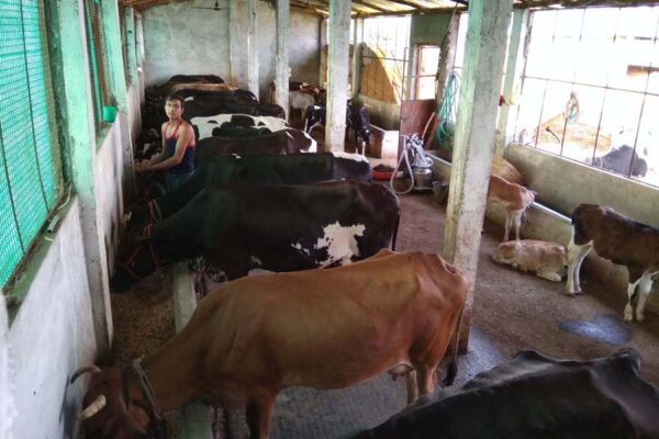 खेती से लें लाभ, करें ये काम