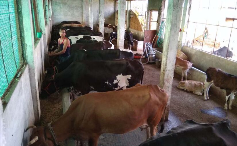 खेती से लें लाभ, करें ये काम