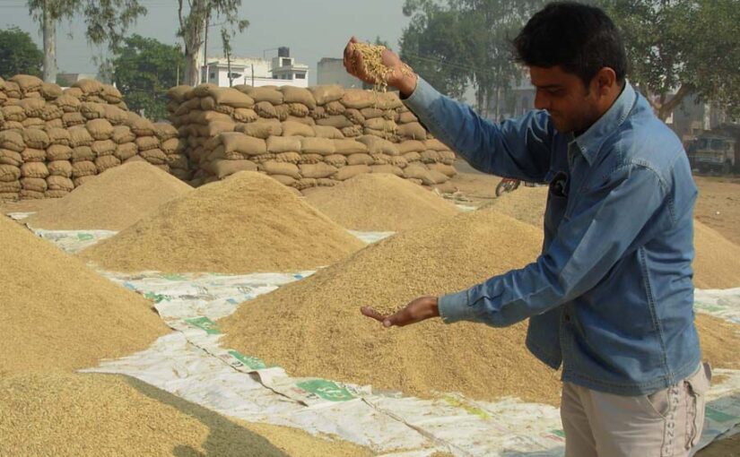 छत्तीसगढ़ में किसान धान खरीदी को ले कर हलकान