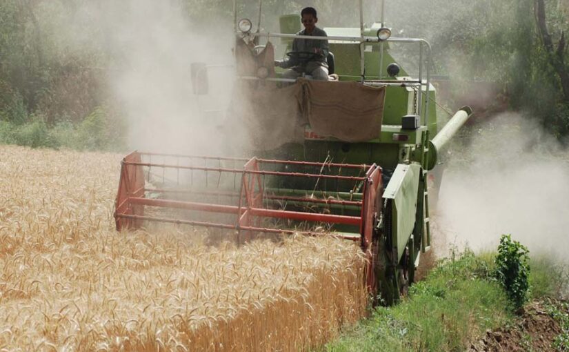 गेहूं की कटाई: वायु प्रदूषण व समाधान