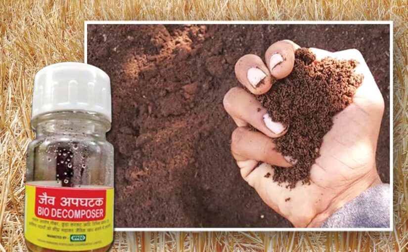 बायोडीकंपोजर: बनाए कचरों को जैविक खाद