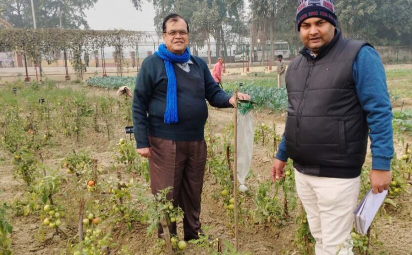 कड़ाके की ठंड में फसल में कीट व बीमारियां