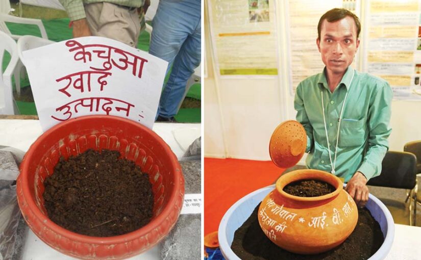 खेती के लिए खास वर्मी कंपोस्ट खाद