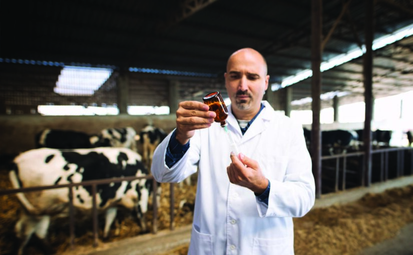 गोपशुओं में होने वाला दुग्ध ज्वर