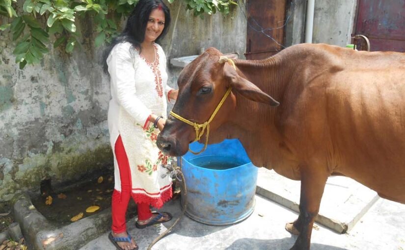 ऐसे रखें खयाल अपने पशुओं का