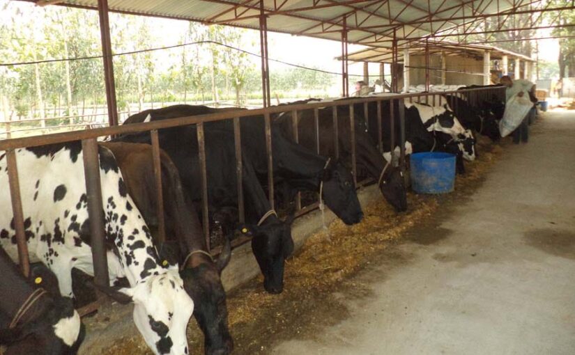 पशुपालन (Animal Husbandry) को प्रोत्साहन