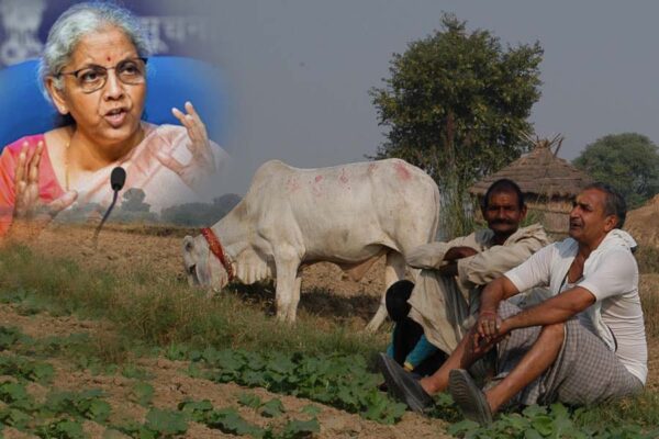 अंतरिम बजट (Interim Budget) : और अधिक सहारा चाहता है कृषि क्षेत्र