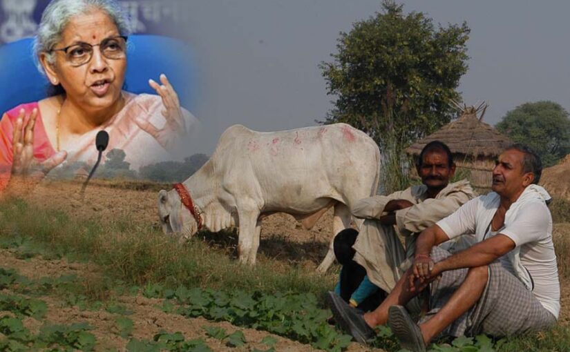 अंतरिम बजट (Interim Budget) : और अधिक सहारा चाहता है कृषि क्षेत्र