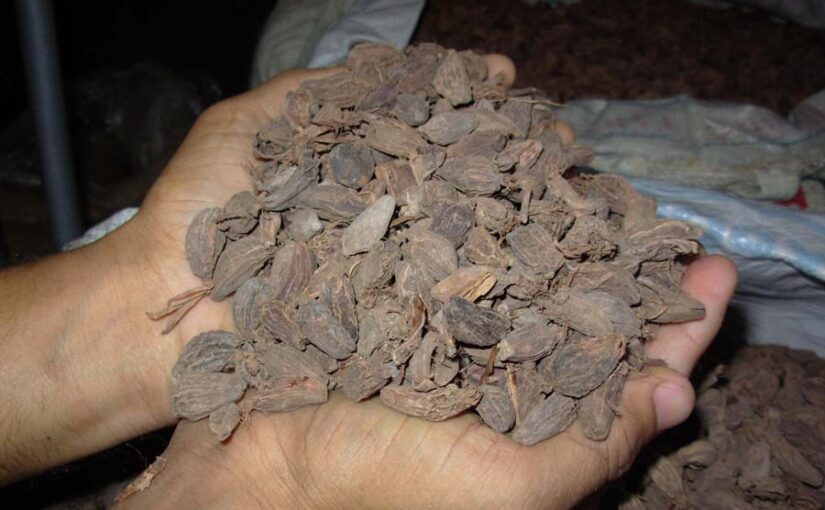 मसाले और पाककला से संबंधित जड़ीबूटियों (Herbs) पर 31 देशों की बैठक