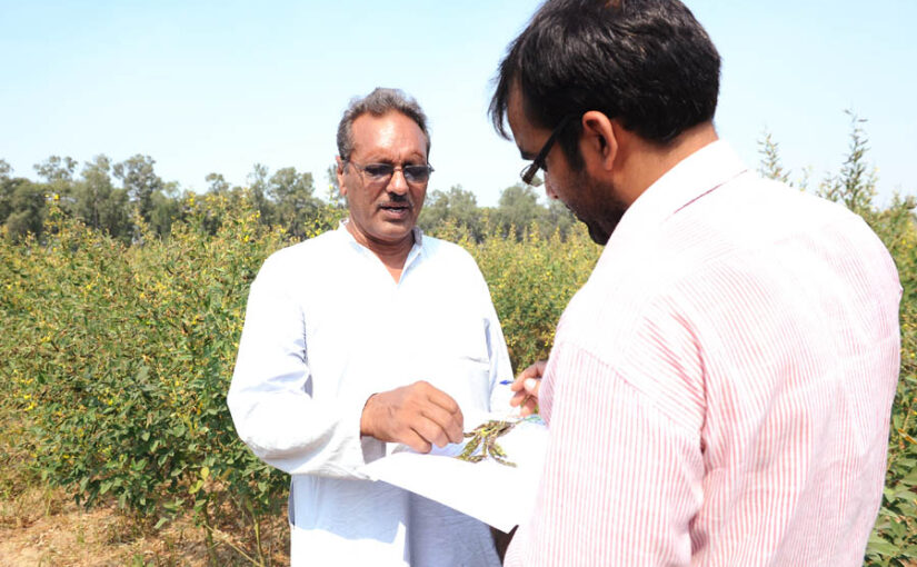 पिछले दस वर्षों में दालों का उत्पादन (Pulses Production) 60 फीसदी बढ़ा