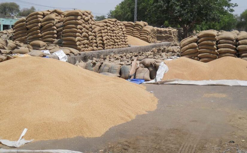 गेहूं (Wheat) की बिक्री के लिए तुरंत करें पंजीयन
