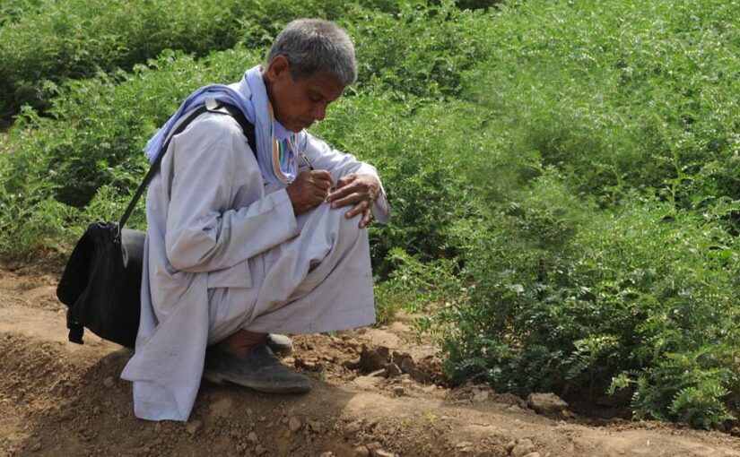 रबी फसल के मिलेंगे सही दाम, करें फसल पंजीयन (Crop Registration)