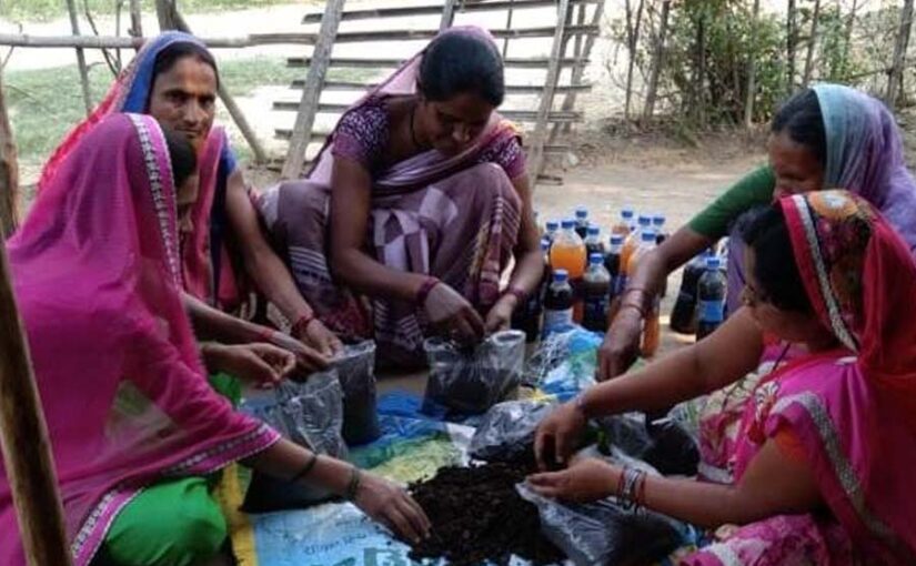 जैविक उत्पाद (Organic Products) से अच्छी आमदनी: समूह में कर रहे खेती
