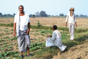 किसानों की योजनाओं की बजट राशि में भारी कटौती