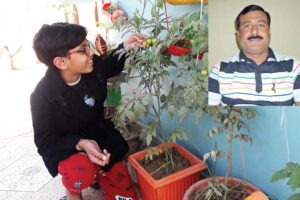 Kitchen Garden