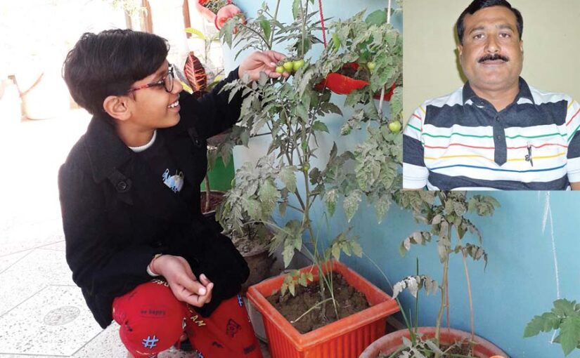 किचन गार्डन बनाएं – उगाएं सब्जियां और फल