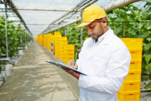 कृषि निर्यात (Agricultural Exports)
