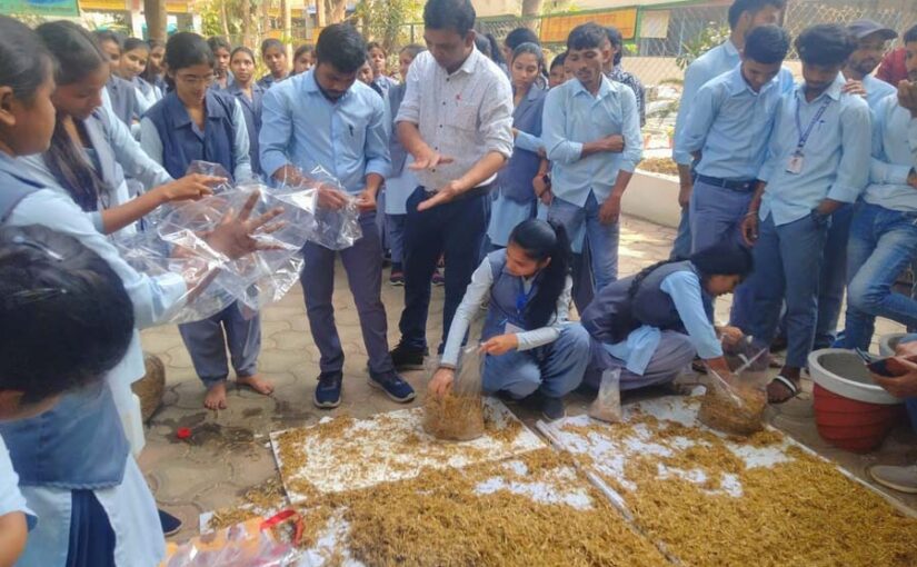 मशरुम (Mushroom) उत्पादन एवं प्रसंस्करण पर कार्यशाला