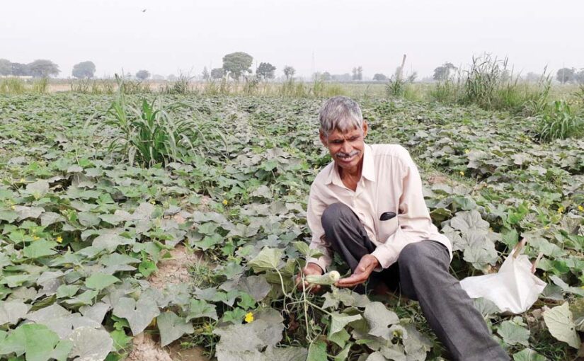समय से करें खेतीबारी से जुड़े ये काम