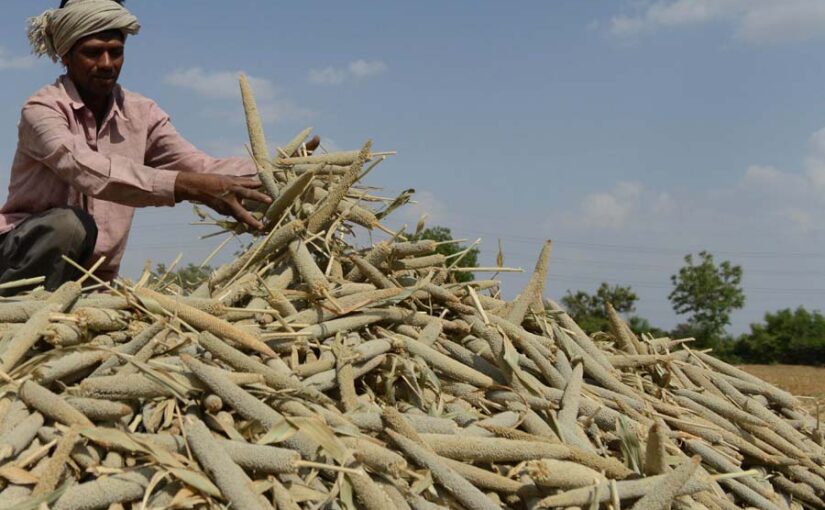 श्रीअन्न (Millets) उत्पादक किसानों के लिए खास योजना