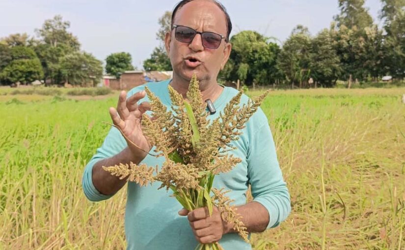 देश में बढ़ रही मोटे अनाज (Coarse Grains) की खेती