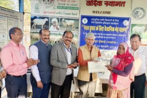 भेड़पालन (Sheep Rearing)
