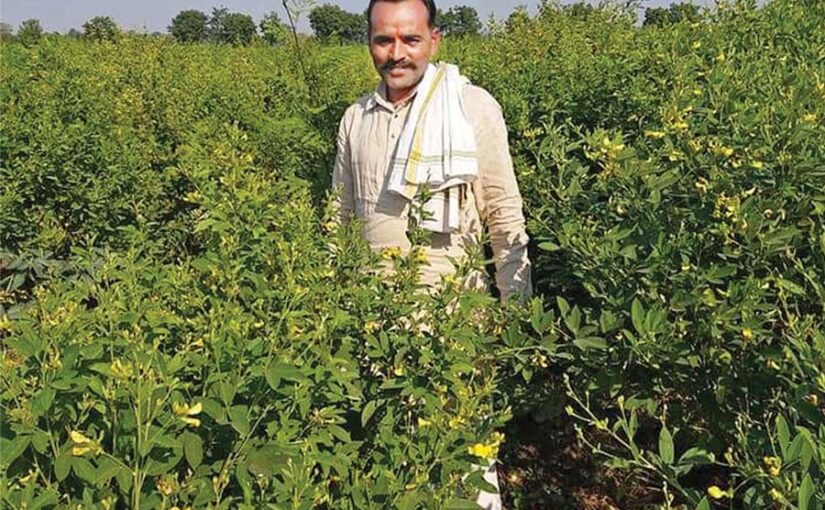 नैचुरल फार्मिंग से घर बैठे कमा रहे मुनाफा