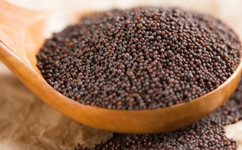 अधिक मुनाफा वाली सरसों कि उन्नत किस्में (Mustard Varieties)