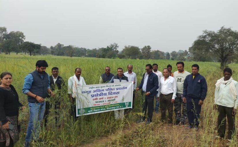 तिलहन फसलों को बढ़ावा,मनाया गया सरसों प्रक्षेत्र दिवस (Mustard Field Day)
