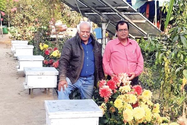 वकालत के बाद कृषि विविधीकरण की ओर