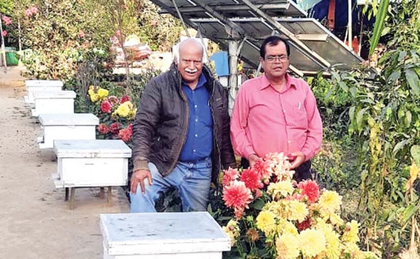 वकालत के बाद कृषि विविधीकरण की ओर