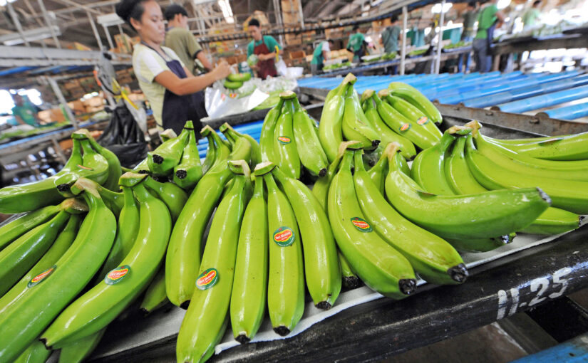 एपीडा की मदद से रूस को होंगे ताजा फल निर्यात (Fresh Fruits Export)
