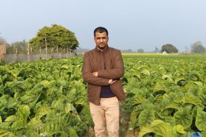 तंबाकू फसल (Tobacco Crop) हुई खराब, मिलेगा बिना ब्याज ऋण