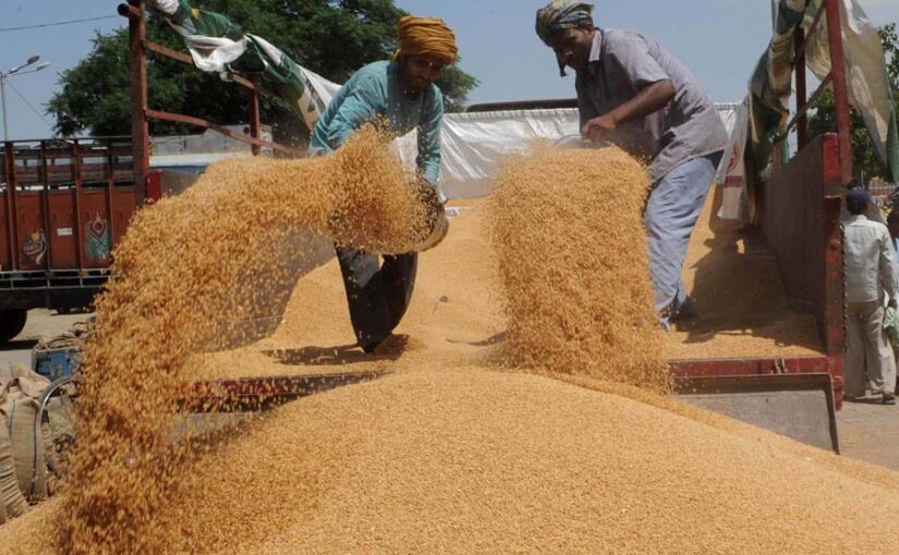 ईनीलामी के जरीए गेहूं और चावल की बिक्री