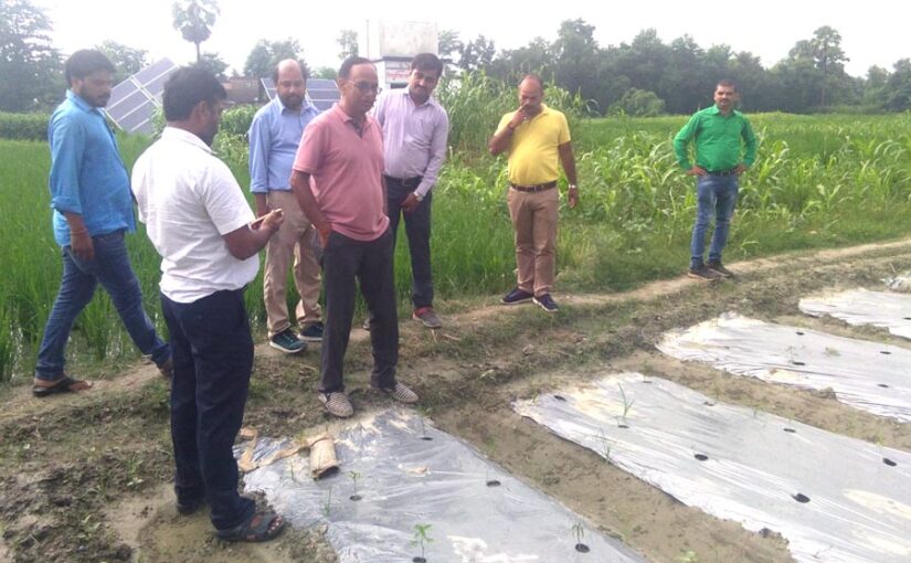 एफपीओ (FPO) बनाता है किसानों को आत्मनिर्भर