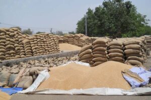 अनाज का भंडारण (Grain Storage)
