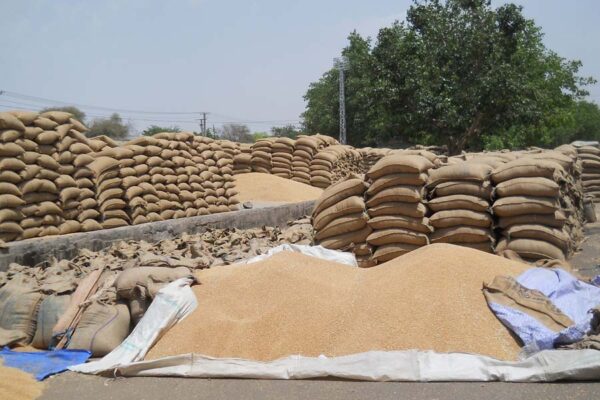 ऐसे करें अनाज का भंडारण (Grain Storage)