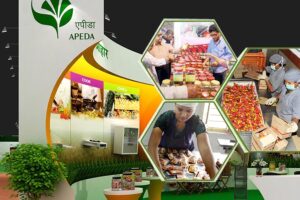 एपीडा (APEDA) ने कृषि निर्यात को आसान बनाया