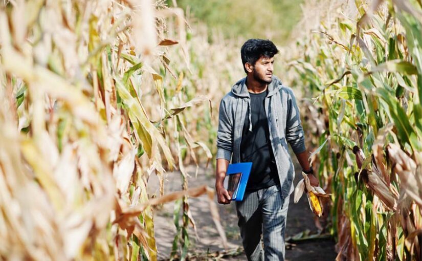 कृषि में डिप्लोमा (Diploma in Agriculture) कर किसानों तक पहुंचा रहे जानकारी