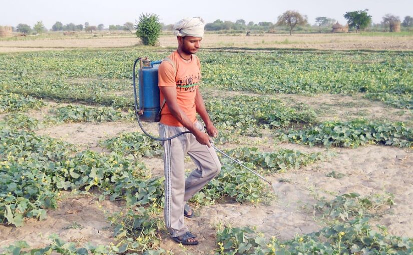 फसल कीट (Crop Pest) व बीमारी निगरानी पर प्रशिक्षण