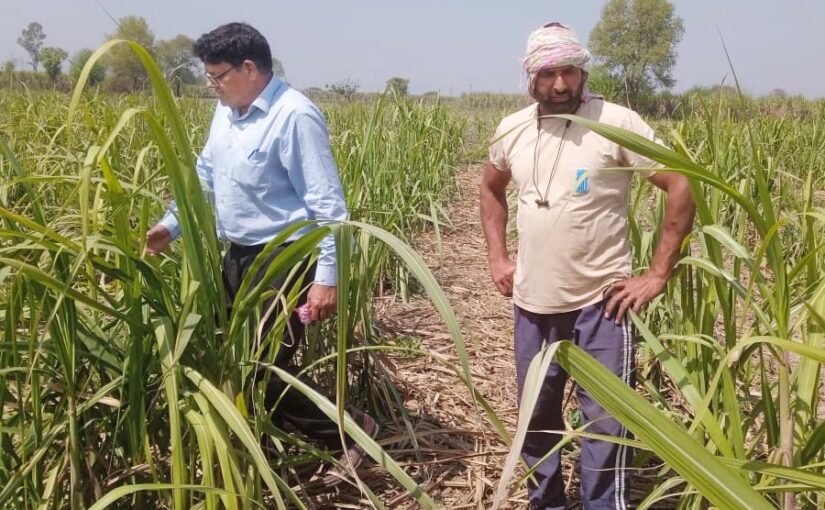 अगले 10 सालों में क्या खेती का स्वरूप (Nature of Farming) बदलेगा?