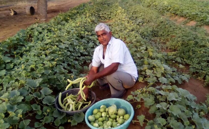 प्राकृतिक खेती (Natural Farming) को लाभकारी बनाने के जरूरी टिप्स