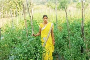 जैविक खेती (Organic Farming)