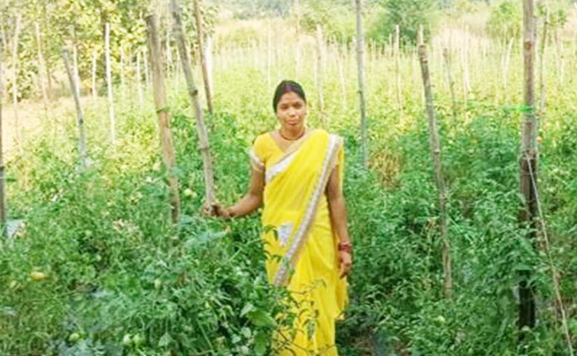 जैविक खेती (Organic Farming) से पार्वती बनीं सफल सब्जी उत्पादक