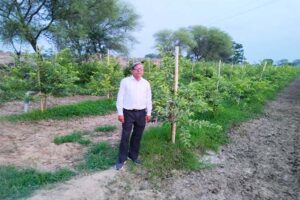 बागबानी (Gardening)