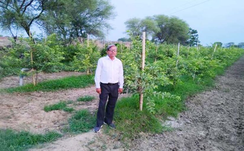 किसान ने बागबानी (Gardening) से की बंपर कमाई