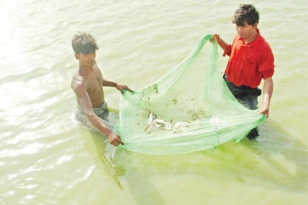 मछलीपालन (Fish Farming)