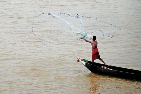 मछलीपालन (Fish Farming) है आसान